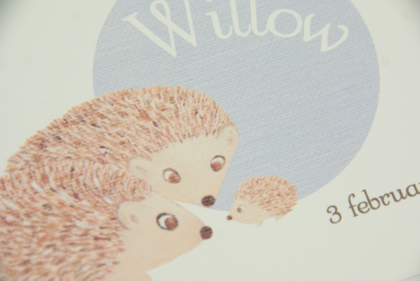 geboortekaartje willow lila